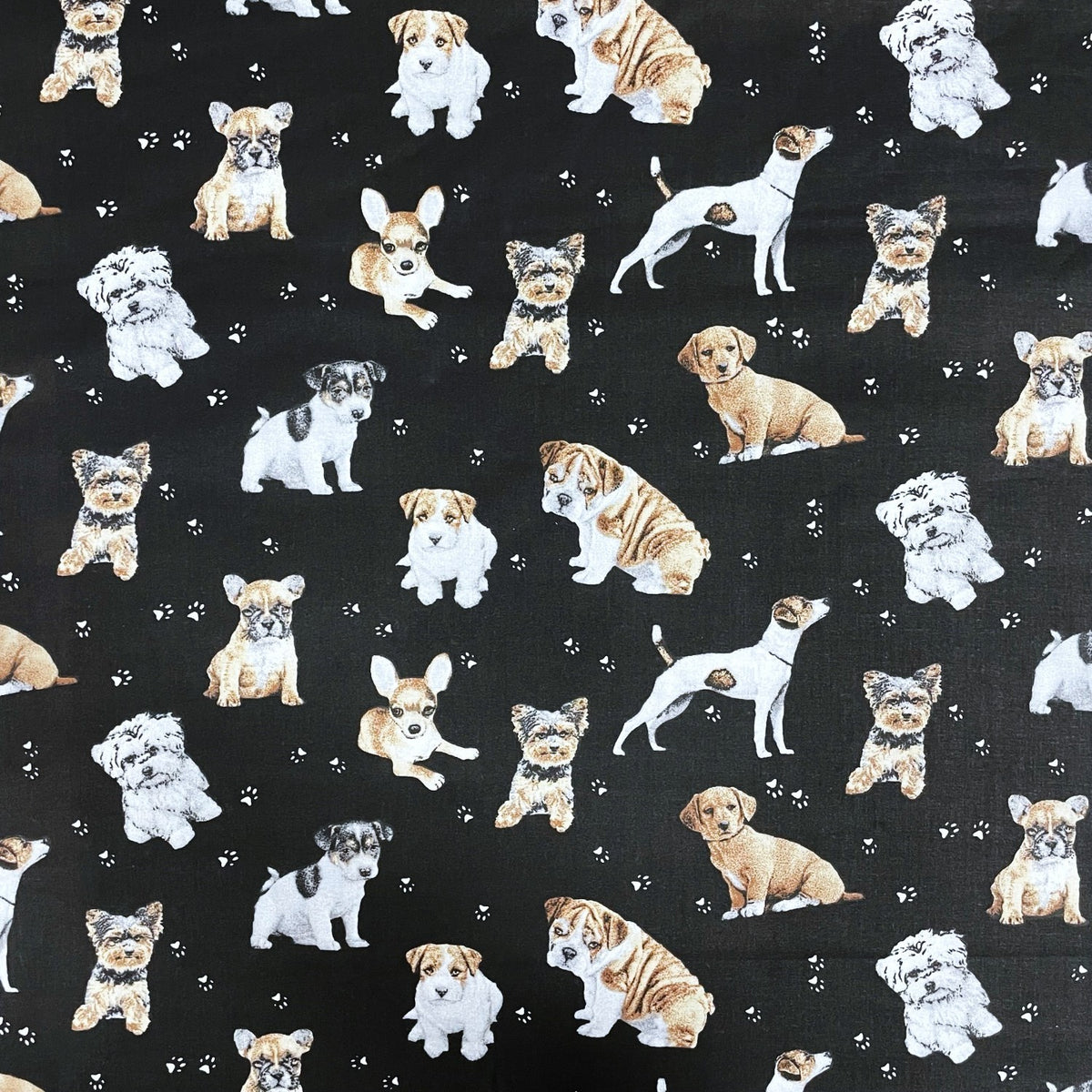 Cotton Fabric - Dogs and Paws on Black