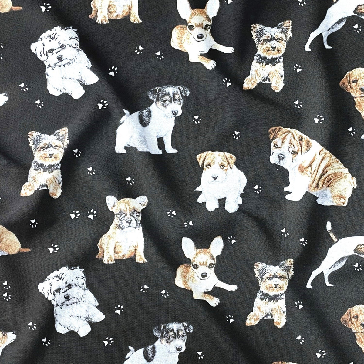 Cotton Fabric - Dogs and Paws on Black