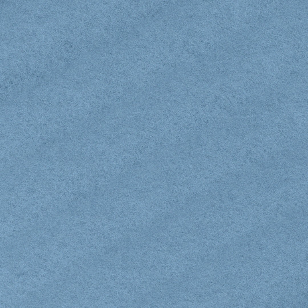 Thick Brushed Sweatshirt - Blue